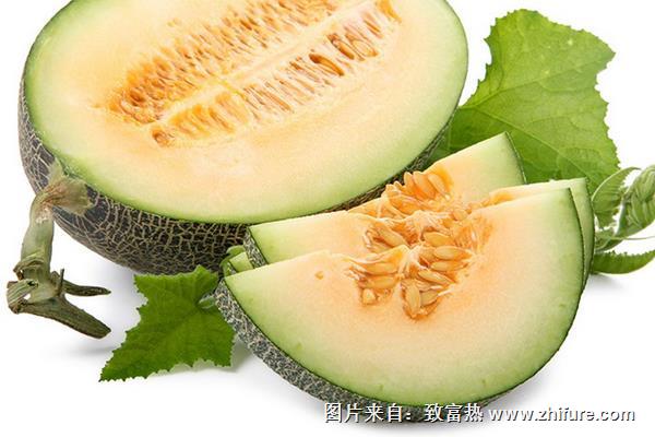 甜瓜的功效與作用及禁忌