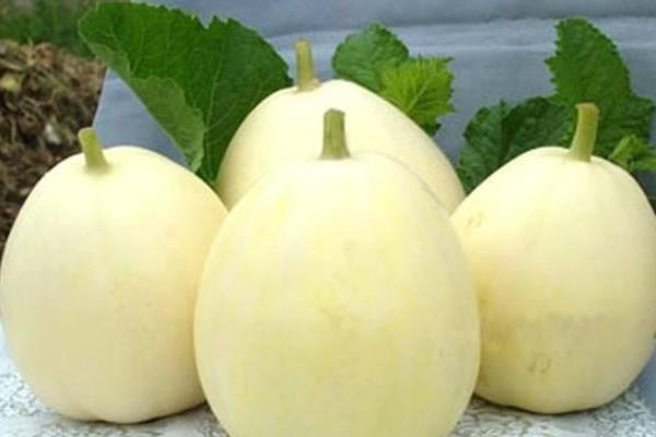 甜瓜的功效與作用及禁忌