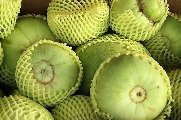 甜瓜的功效與作用及禁忌