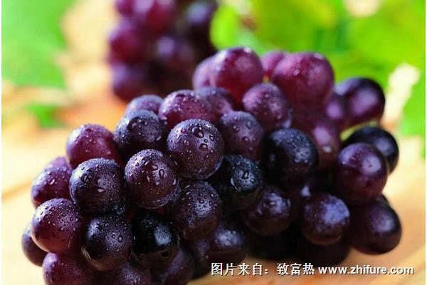 玫瑰香葡萄有籽嗎