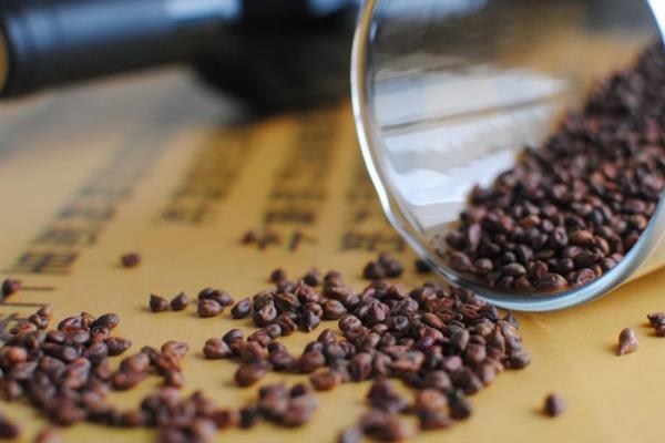 玫瑰香葡萄有籽嗎