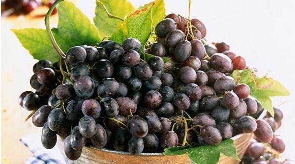 玫瑰香葡萄營養價值