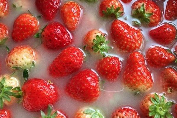 草莓是什么季節的水果