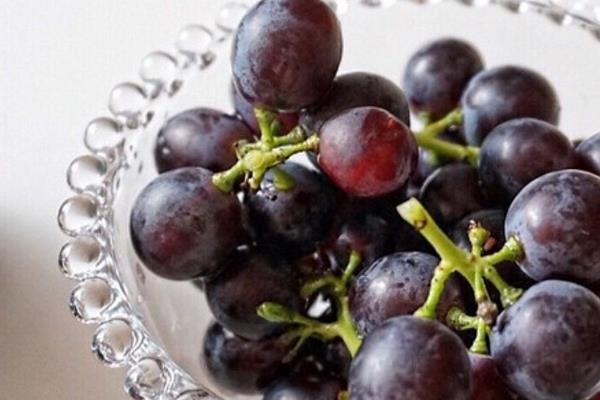 孕婦能吃玫瑰香葡萄嗎