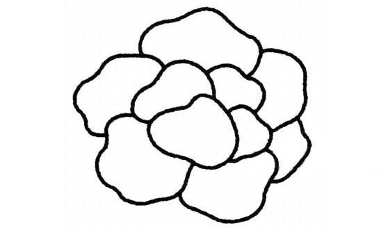 牡丹花簡筆畫怎么畫(圖解步驟)