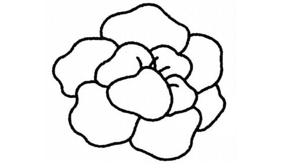 牡丹花簡筆畫怎么畫(圖解步驟)
