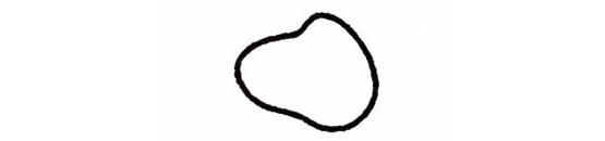 牡丹花簡筆畫怎么畫（圖解步驟）