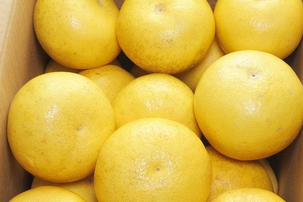 紅肉柚子營養(yǎng)價值