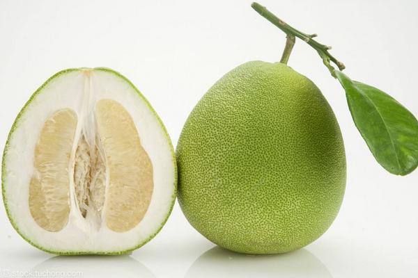 柚子什么時候上市