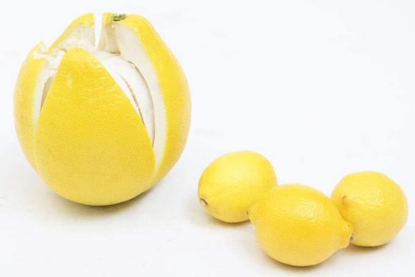 柚子什么時候上市