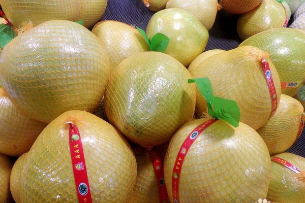 柚子什么時候上市