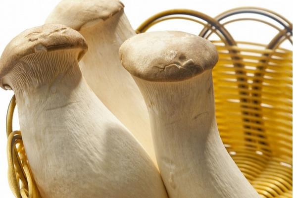 雞腿菇營(yíng)養(yǎng)價(jià)值及功效與作用，禁忌