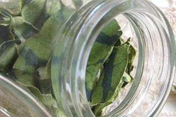 西瓜的加工產品