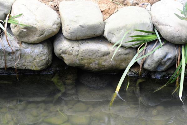 5萬至10萬元養(yǎng)殖創(chuàng)業(yè)項(xiàng)目推薦