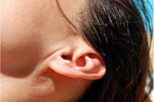 軟柿子是什么意思