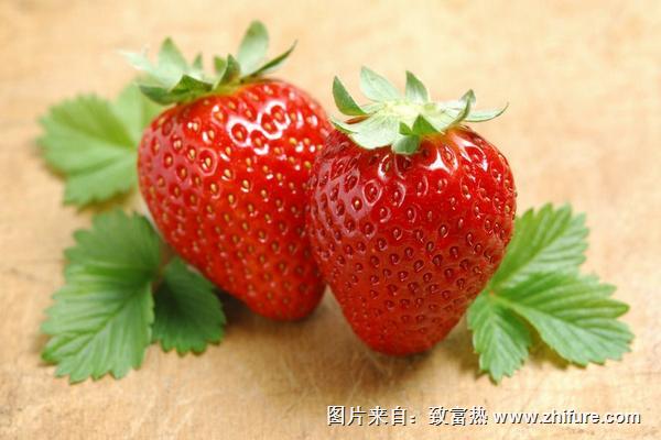 草莓價格多少錢一斤