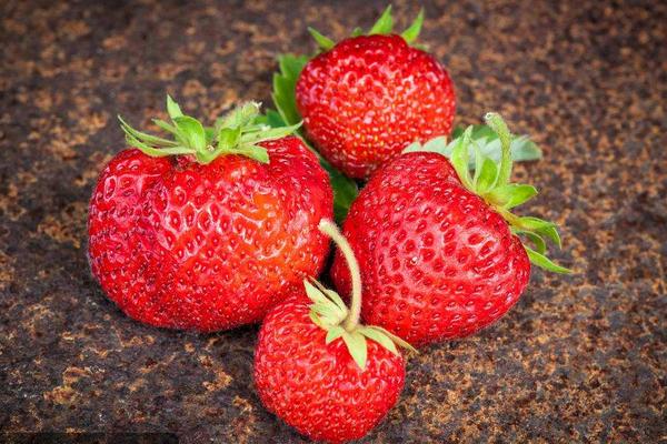 草莓價格多少錢一斤