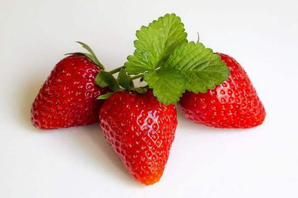 草莓價格多少錢一斤