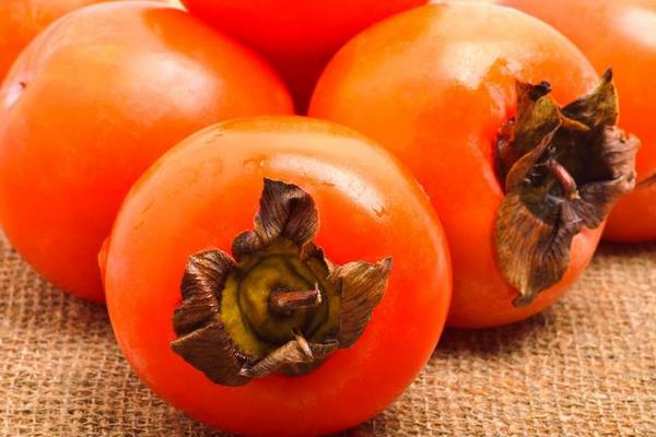 結石能吃柿子嗎