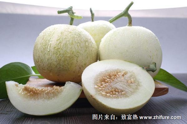 香瓜產地在哪里