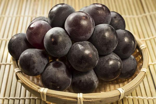 巨峰葡萄的熱量是多少