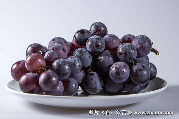 巨峰葡萄可以釀酒嗎