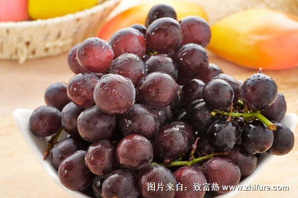 巨峰葡萄皮可以吃嗎