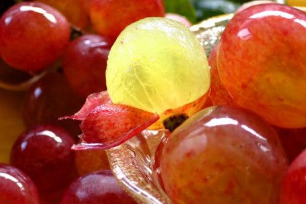 巨峰葡萄皮可以吃嗎