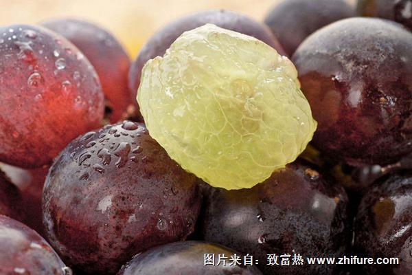 巨峰葡萄皮可以吃嗎