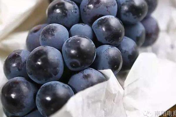 夏黑葡萄膨大劑配方