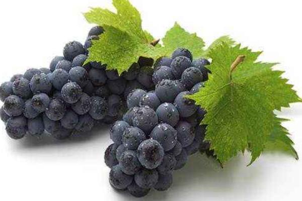 夏黑葡萄膨大劑配方