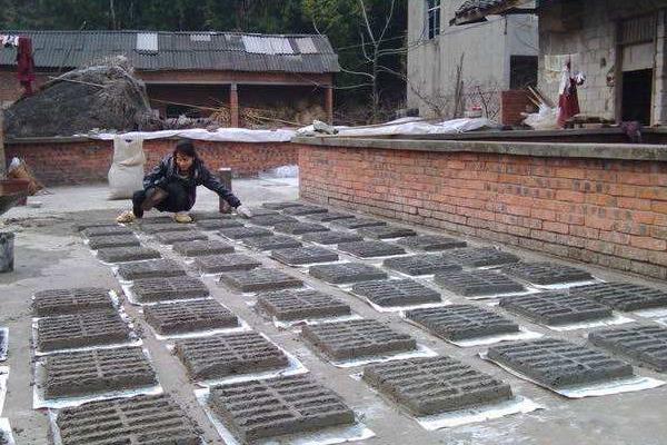 2015養(yǎng)蜈蚣賺錢嗎？2015蜈蚣養(yǎng)殖前景及市場價格分析