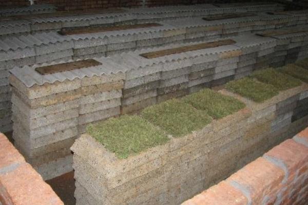 2015養(yǎng)蜈蚣賺錢嗎？2015蜈蚣養(yǎng)殖前景及市場價格分析