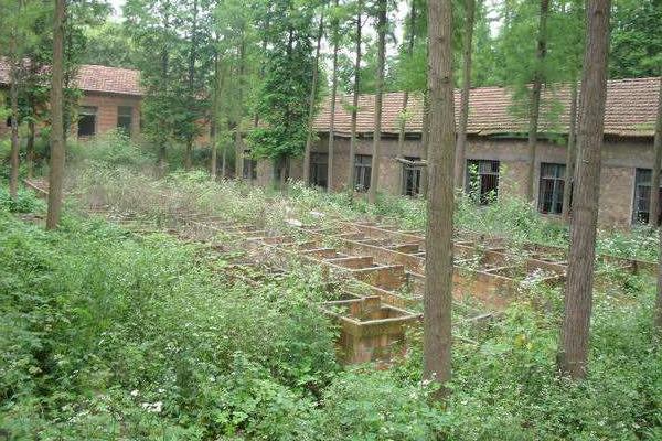 2015養(yǎng)蜈蚣賺錢嗎？2015蜈蚣養(yǎng)殖前景及市場價格分析