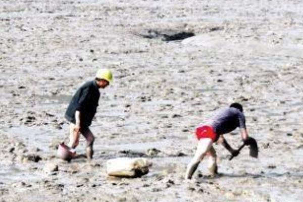 2015養(yǎng)蜈蚣賺錢嗎？2015蜈蚣養(yǎng)殖前景及市場價格分析