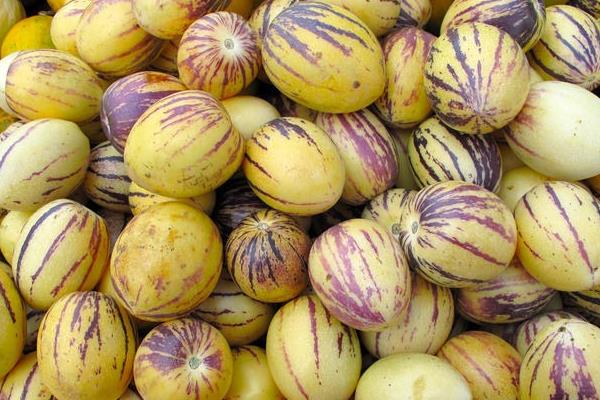 人參果的市場價格多少錢一斤