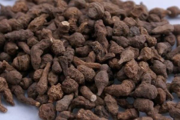 干人參果價格多少錢一斤