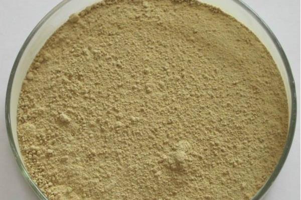 人參果總皂苷的功效與作用