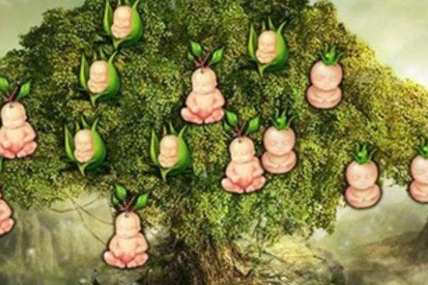 夢見人參果代表什么意思