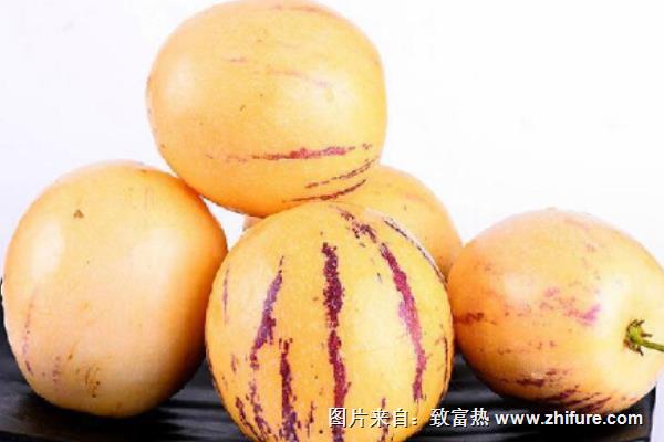 孕婦可以吃人參果嗎