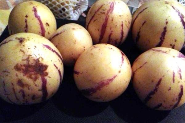 孕婦可以吃人參果嗎