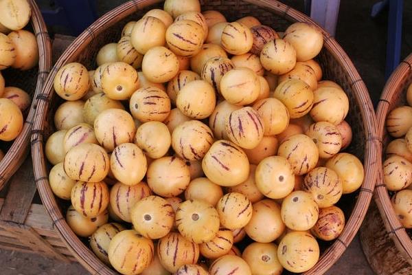 人參果價格多少錢一斤