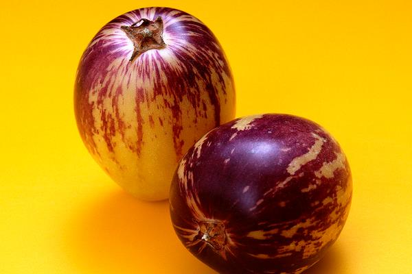 人參果價格多少錢一斤