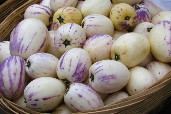 人參果價格多少錢一斤