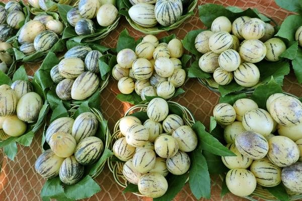 人參果盆景怎么種