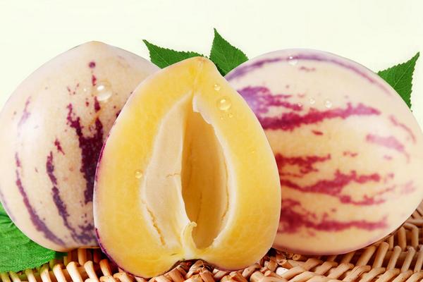 人參果的熱量是多少