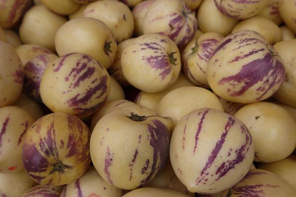 人參果什么時(shí)候成熟