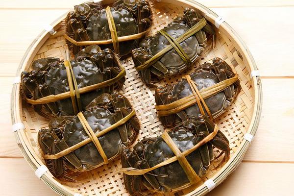 2018養蟹賺錢嗎?養蟹的利潤與投資成本及前景預測