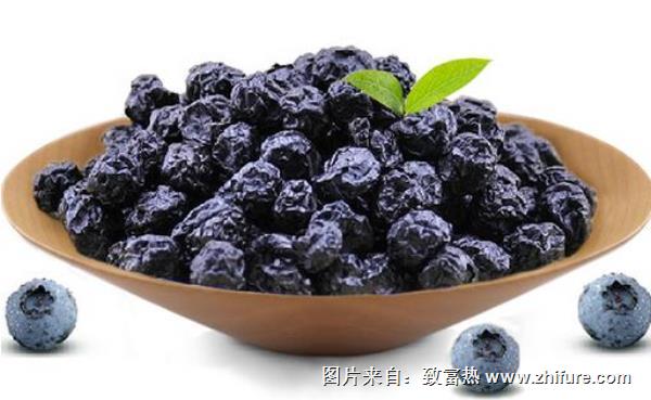 藍(lán)莓干大的好還是小的好
