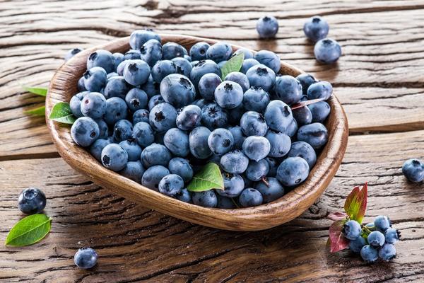 藍莓什么品種好